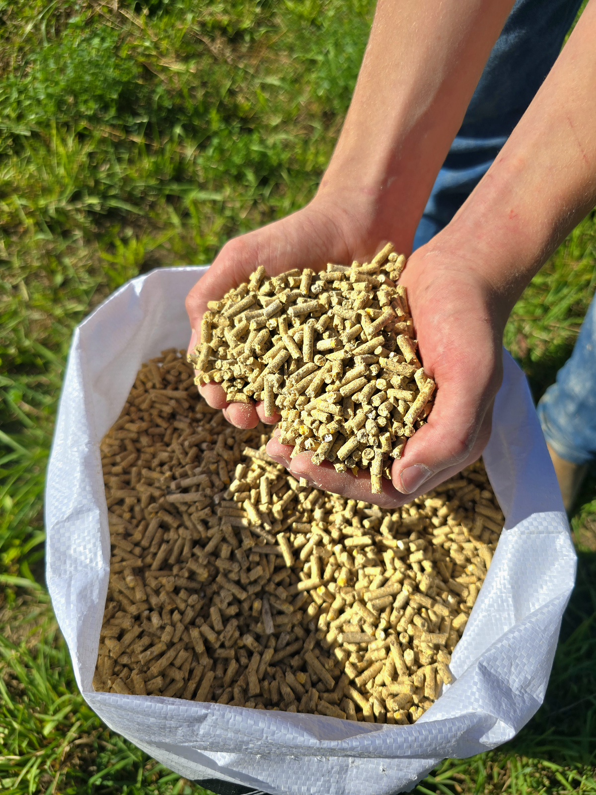 Creep Starter Pellets
