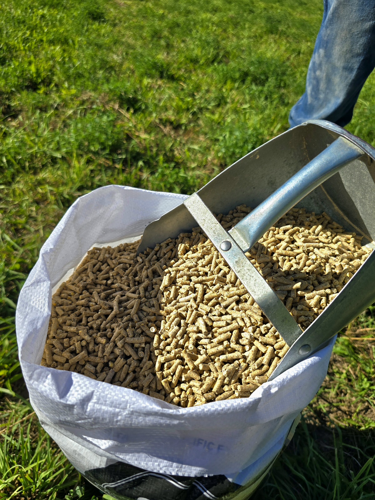 Creep Starter Pellets