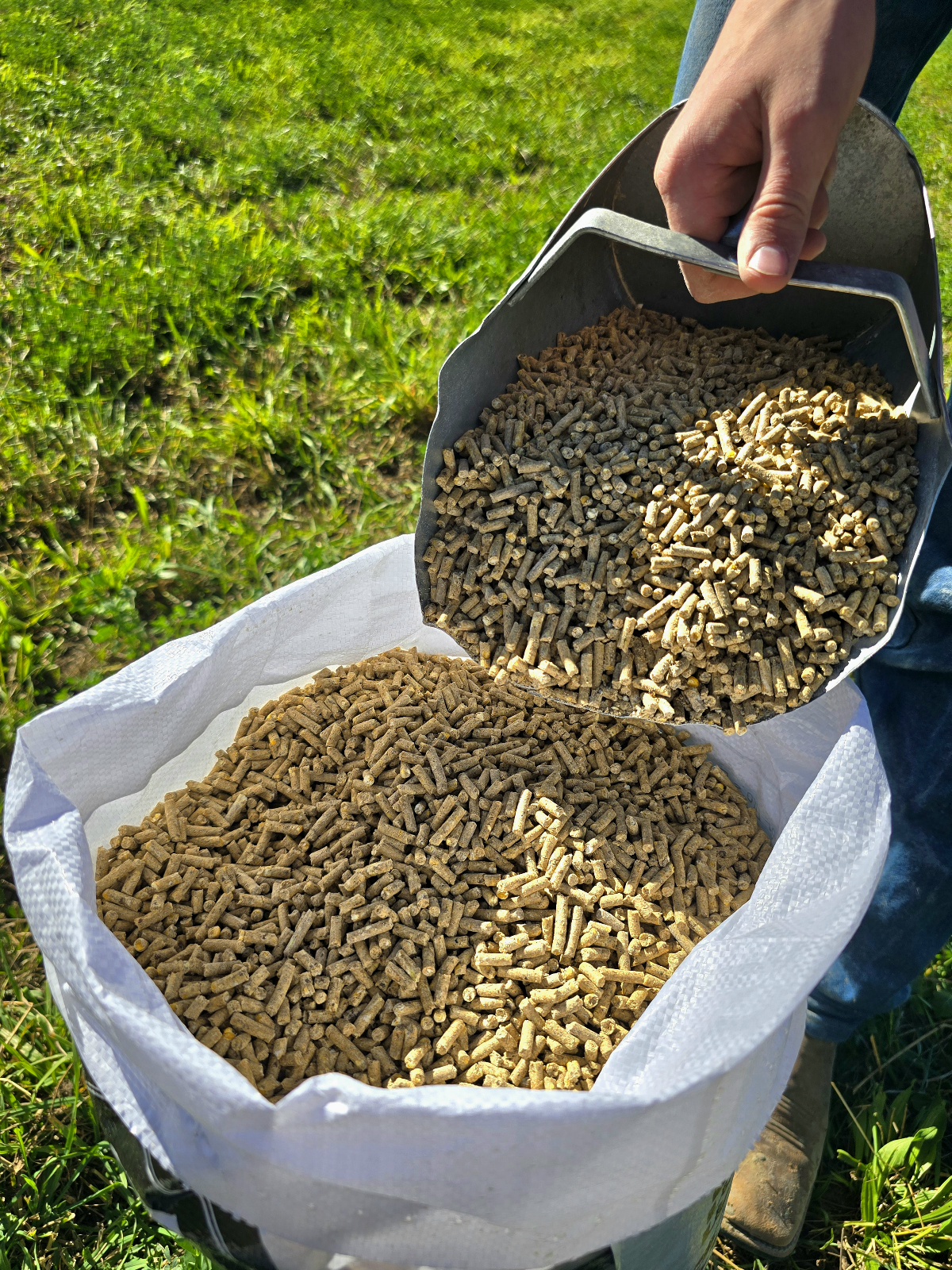 Creep Starter Pellets