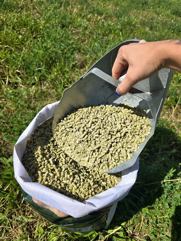 Rabbit Pellets.