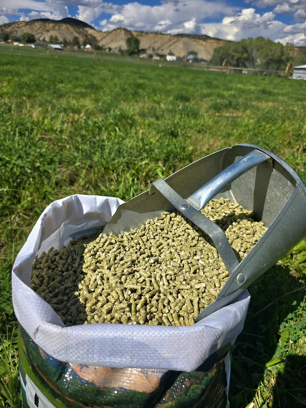 Rabbit Pellets.