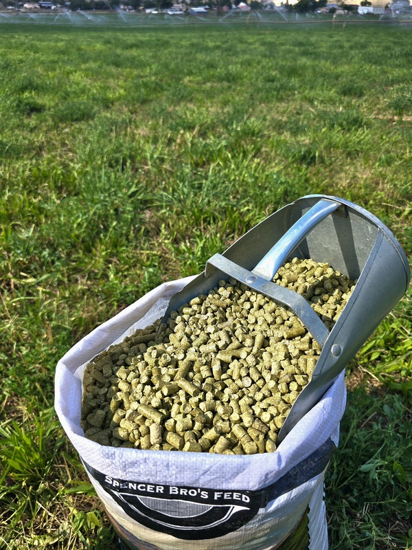 Alfalfa Pellets.