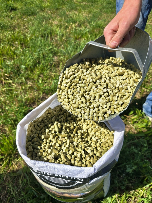 Alfalfa Pellets.