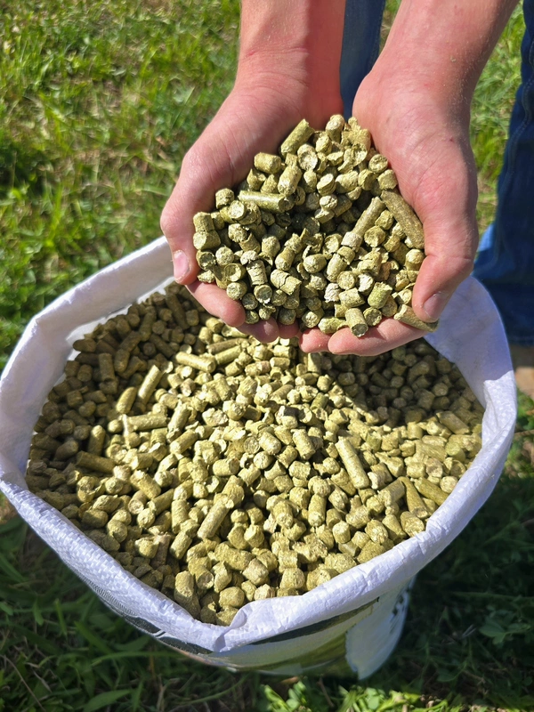 Alfalfa Pellets.