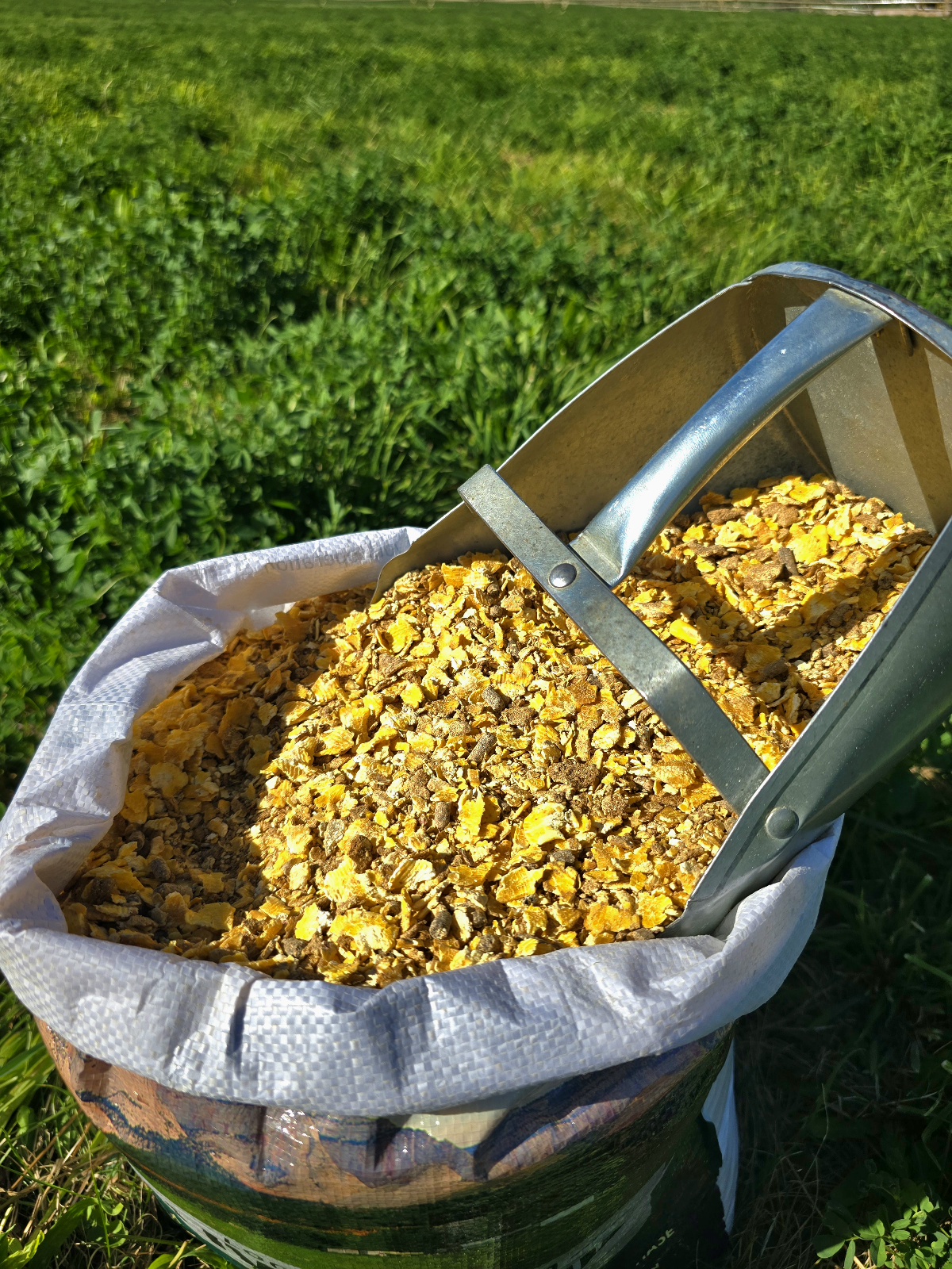 Original Steer Finisher.