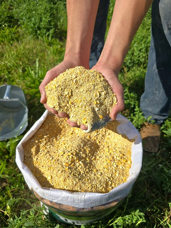21% Gamebird Breeder.