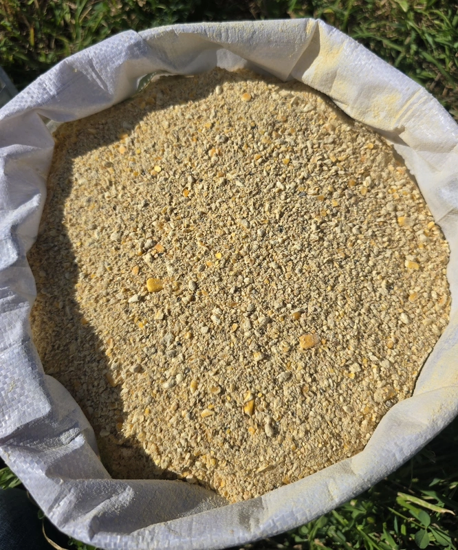 20% Layer Mash.