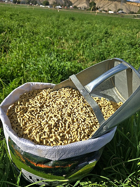 20% Layer Pellets.