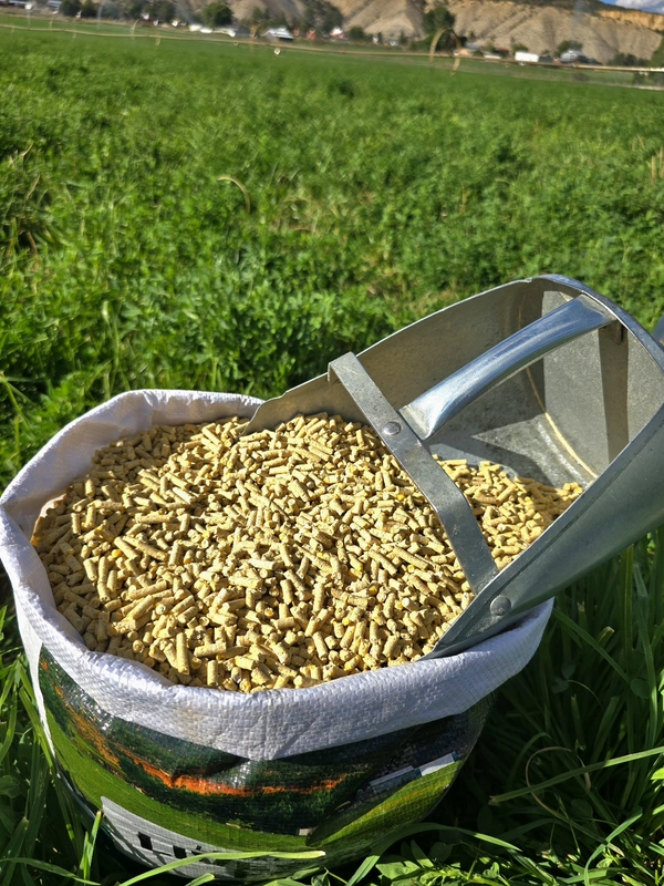 20% Layer Pellets.