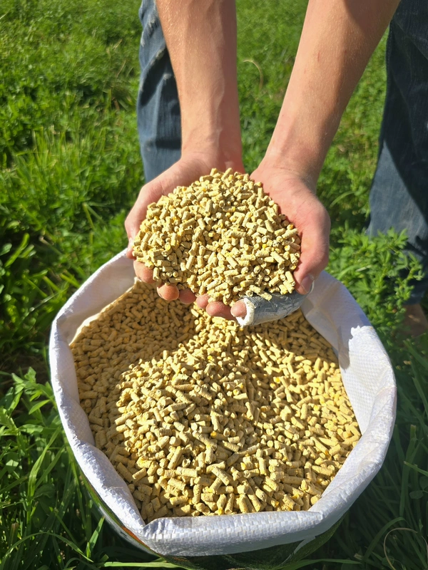 20% Layer Pellets.
