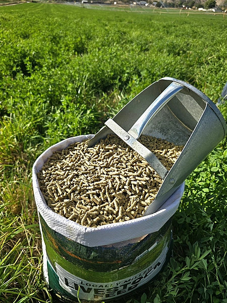 NON-GMO Corn & Soy Free Pellets