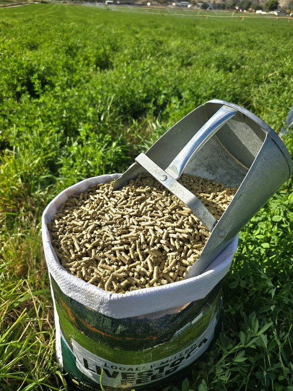 NON-GMO Corn & Soy Free Pellets