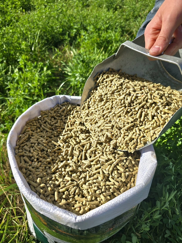 NON-GMO Corn & Soy Free Pellets