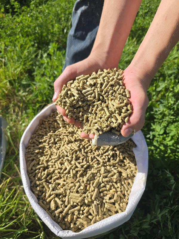 NON-GMO Corn & Soy Free Pellets