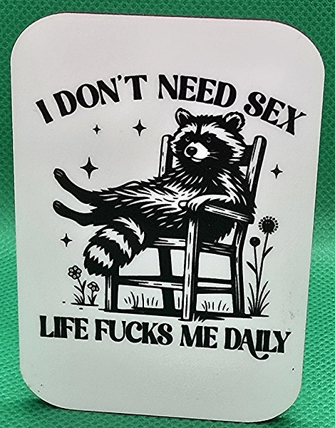 I Don't Need Sex! magnet