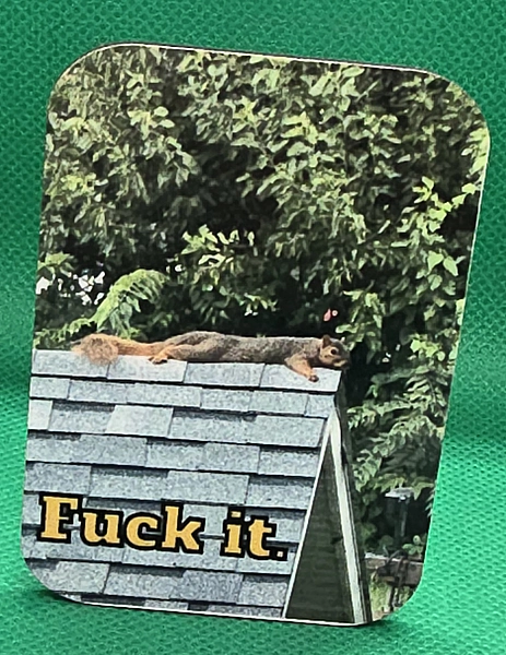 Fuck It Squirrel magnet