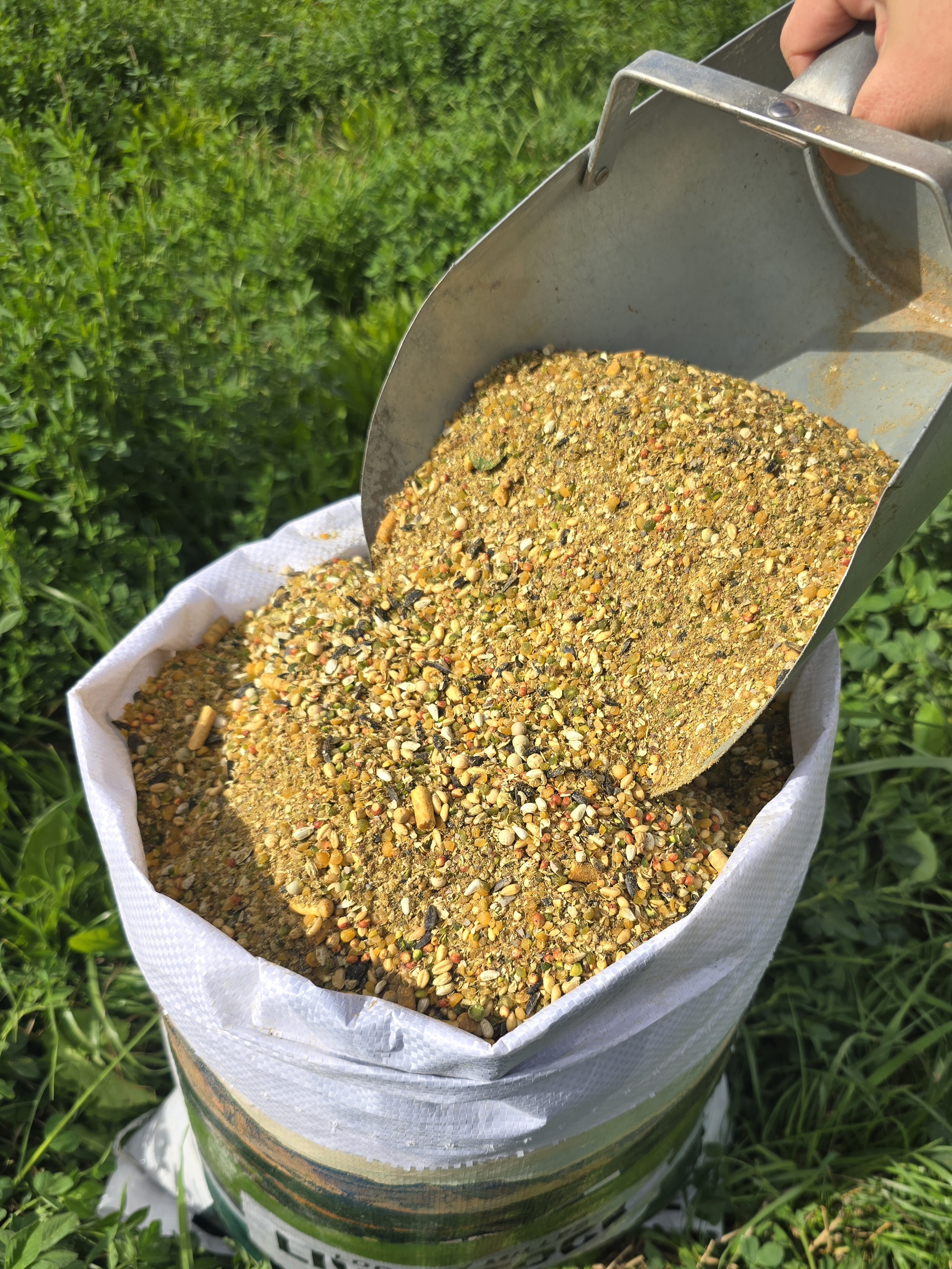 NON-GMO Corn & Soy Free