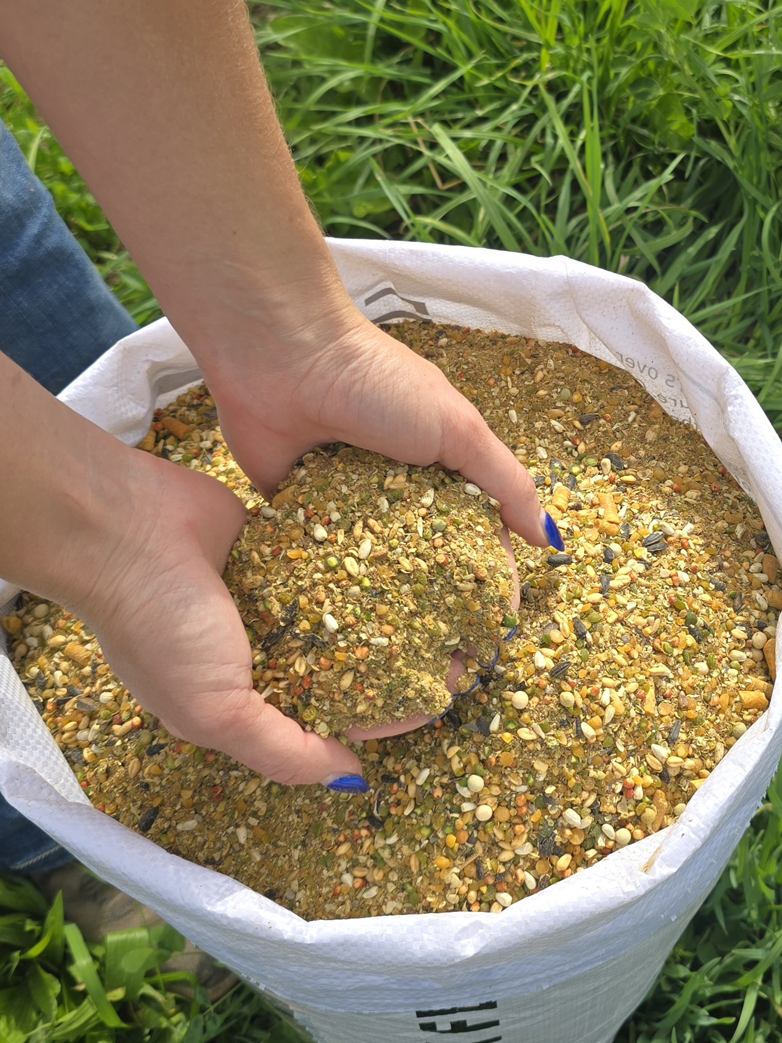 NON-GMO Corn & Soy Free