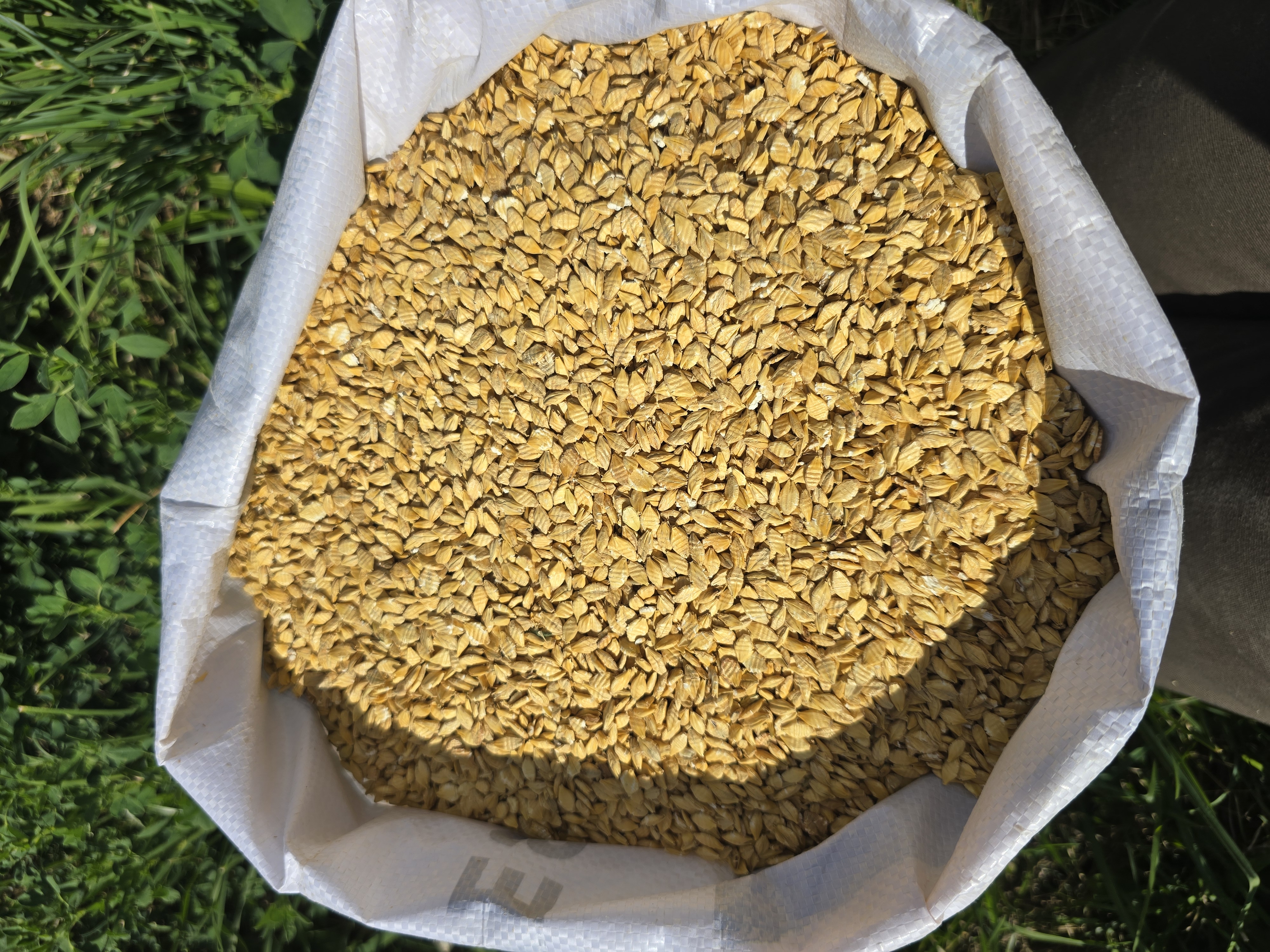 Rolled Barley.