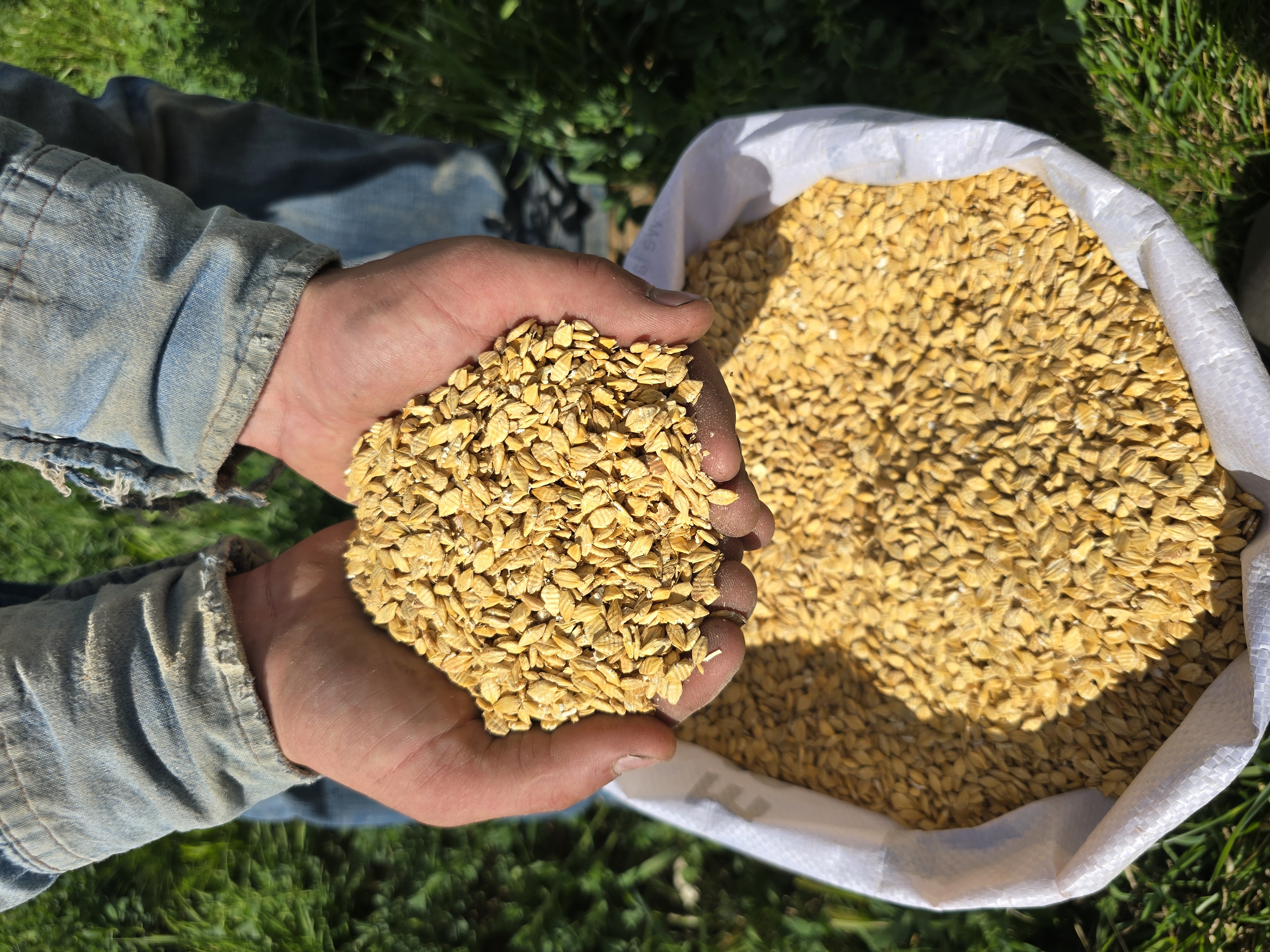 Rolled Barley.