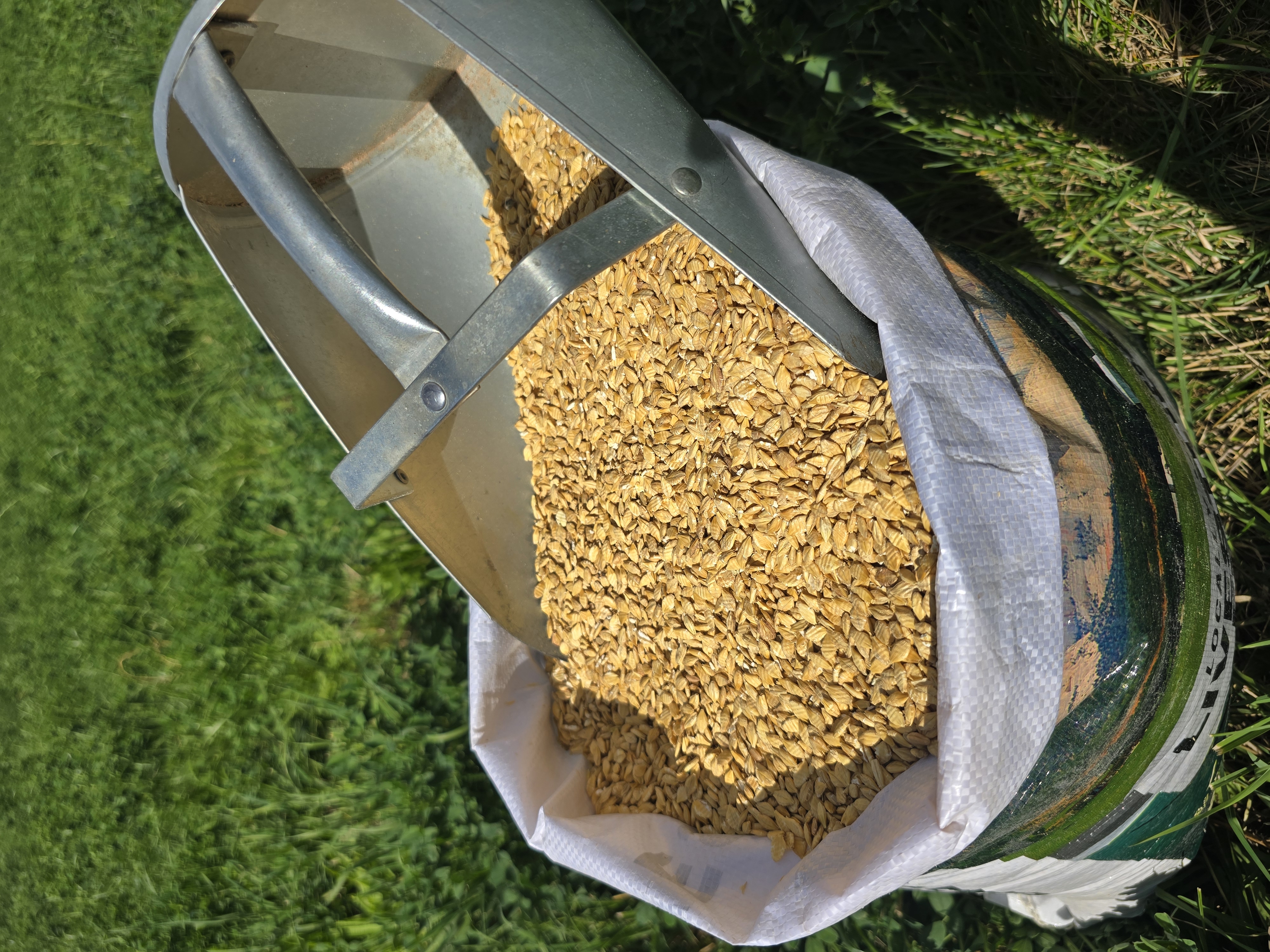 Rolled Barley.