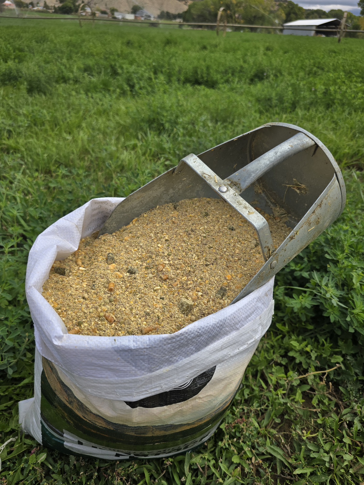 18% Soy Free Hog Grower.