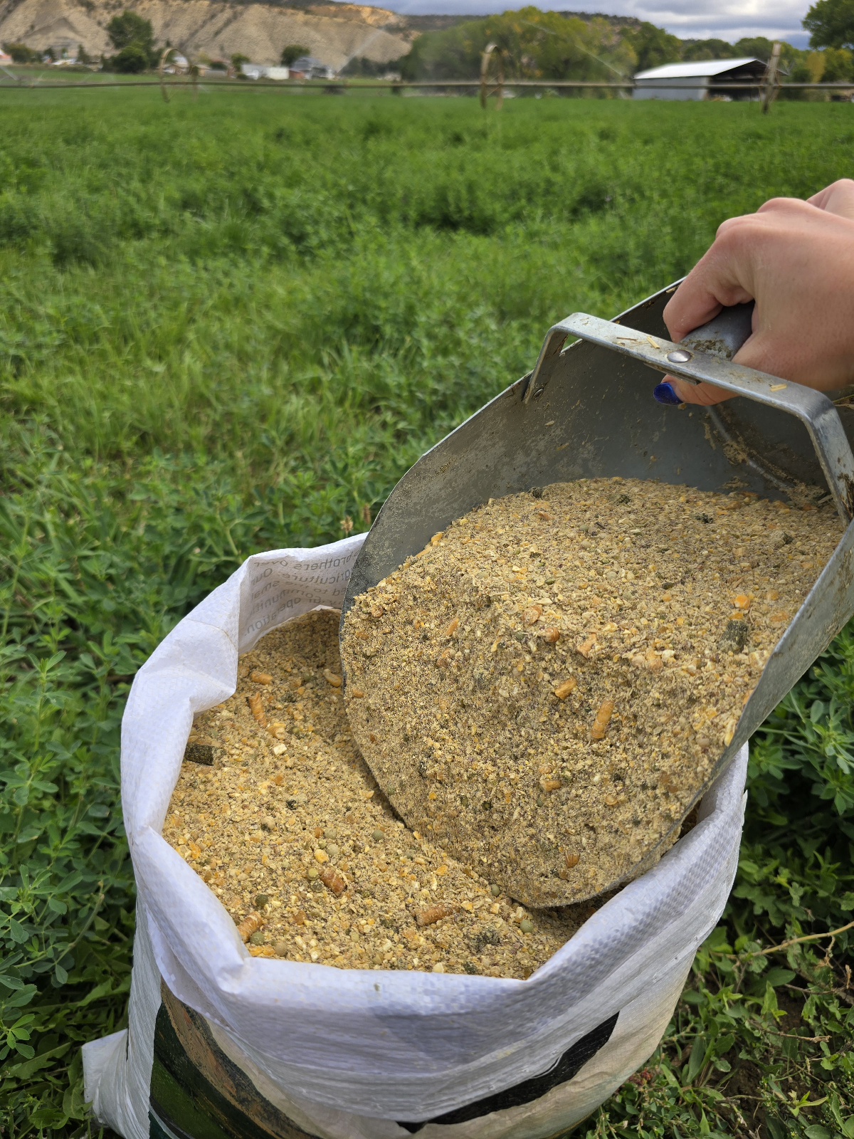 18% Soy Free Hog Grower.