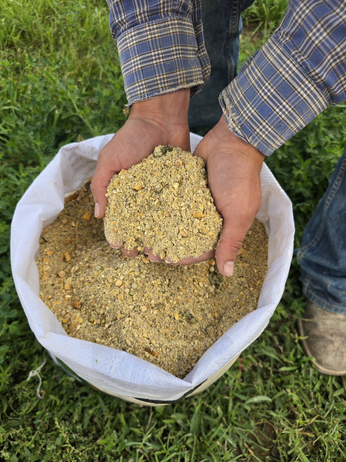 18% Soy Free Hog Grower.