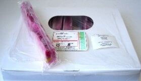 Nama Fu -Ayame_10/10/1.76oz