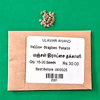 Yellow Graphes Tomato(மஞ்சள் திராட்சை தக்காளி)