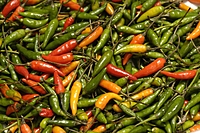 Sini Milagai | சீனி மிளகாய்