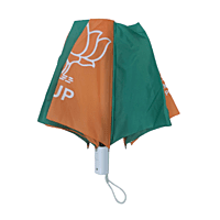 2 Fold Umbrella - 21 Inches
