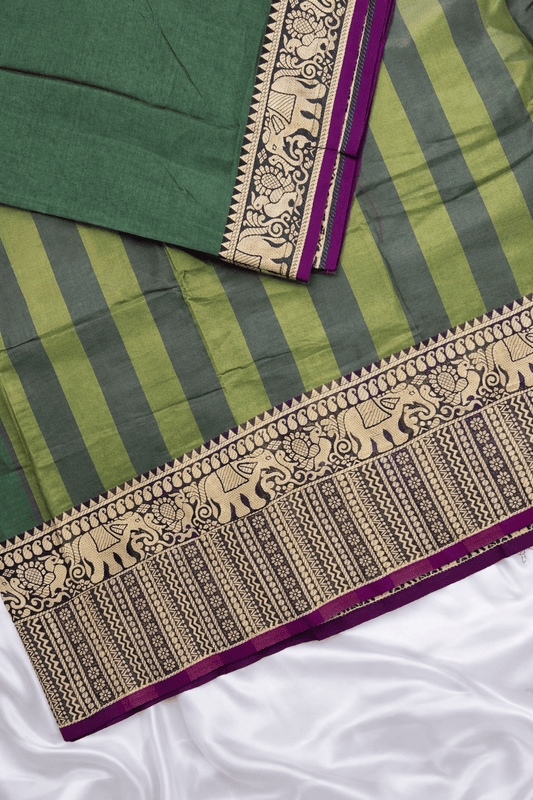 Narayanapet Saree - Light Green