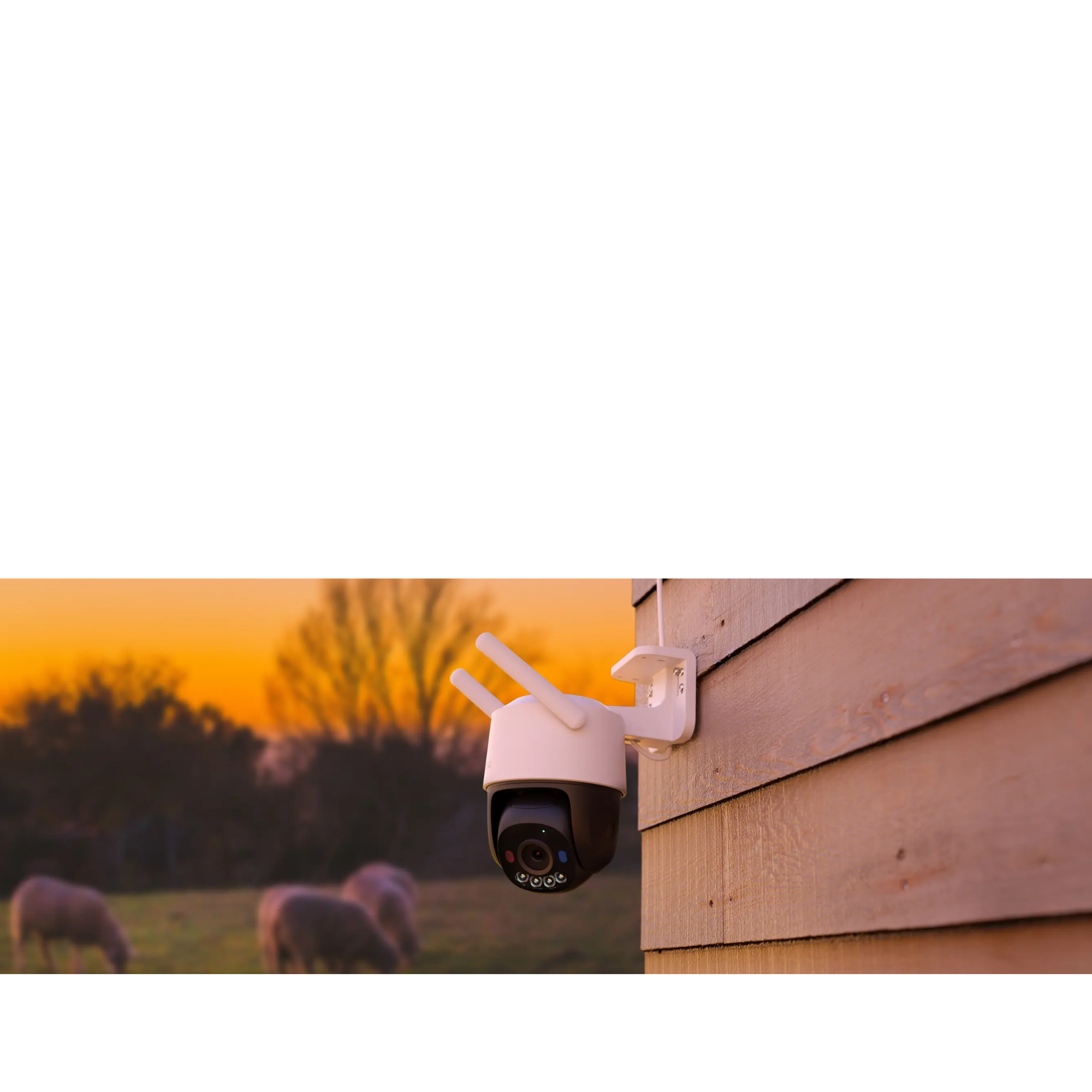 Cruiser SC (PTZ-5MP-4G) Camera