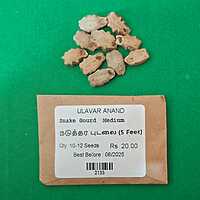 MEDIAM SNAKE GOURD (நடுத்தர புடலை) 5 Feet