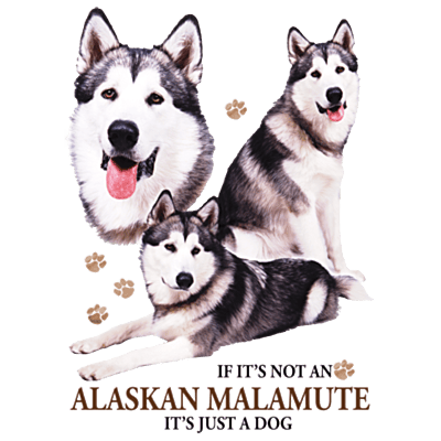 Alaskan Malamute Pride Sports Grey Softstyle T-Shirt