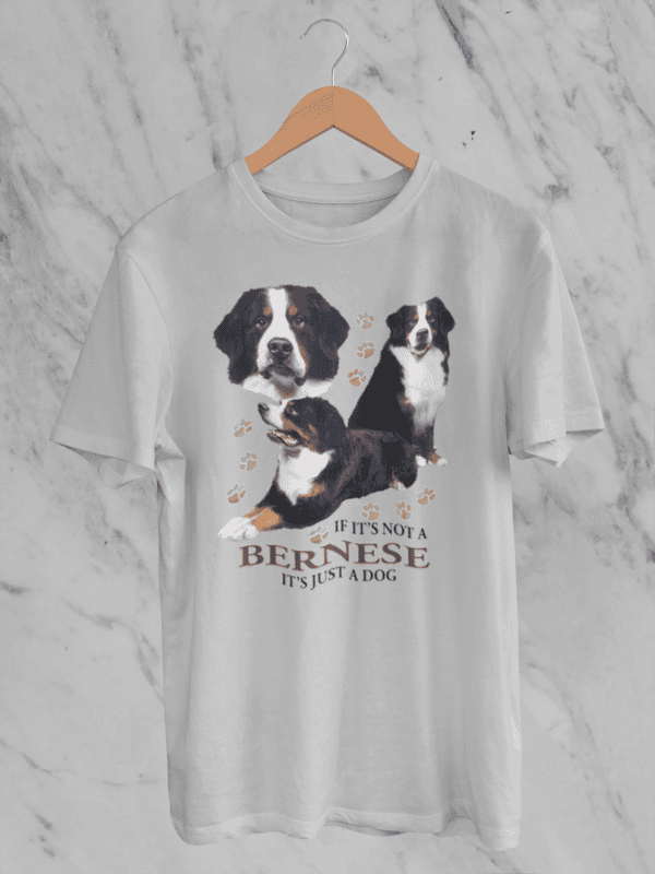 Bernese Pride Sports Grey Softstyle T-Shirt