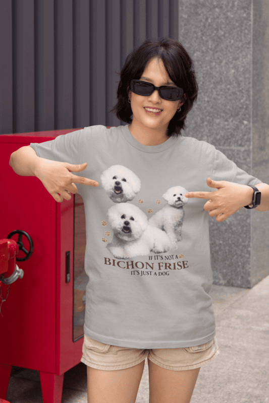 Bichon Frise Pride Sports Grey Softstyle T-Shirt