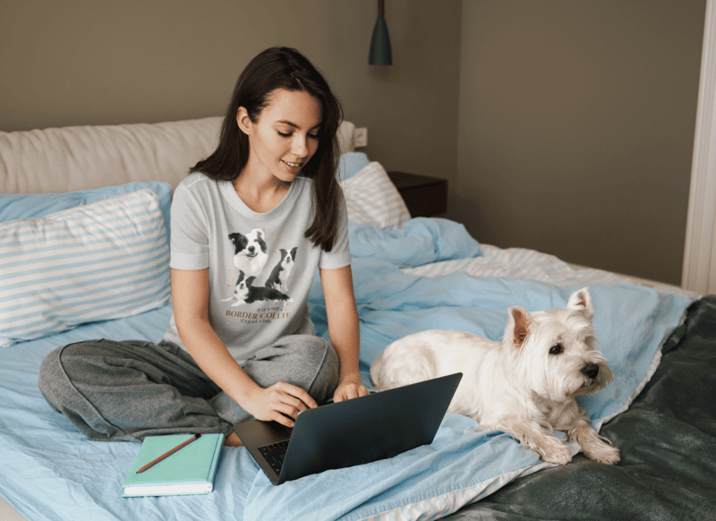 Border Collie Pride Sports Grey Softstyle T-Shirt