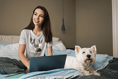 Boston Terrier Pride Sports Grey Softstyle T-Shirt