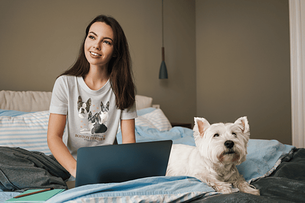 Boston Terrier Pride Sports Grey Softstyle T-Shirt