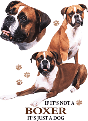 Boxer Pride Sports Grey Softstyle T-Shirt