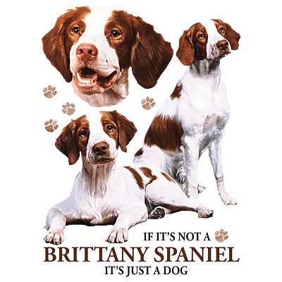 Brittany Spaniel Pride Sports Grey Softstyle T-Shirt