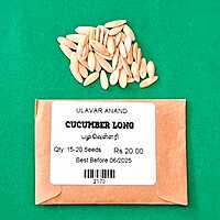 CUCUMBER (வெள்ளரி - பழம்)