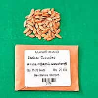 சாம்பார் வெள்ளரி | Sambar Vellari