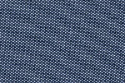 2199047 LIGHT BLUE BIRDSEYE