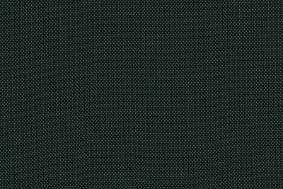 2199050 GREEN BIRDSEYE