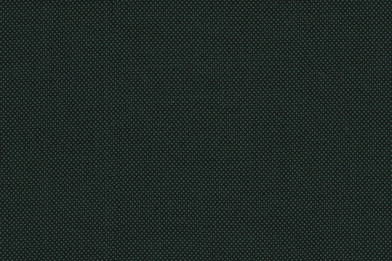 2199050 GREEN BIRDSEYE