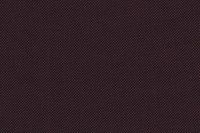 2199051 RED BIRDSEYE