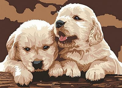 In coppia  Kit ricamo mezzopunto 13x15 cm